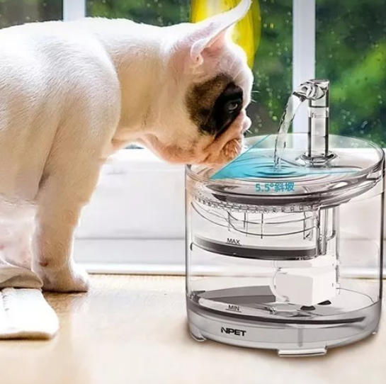 Fuente De Agua Para Mascotas