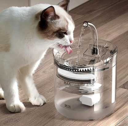 Fuente De Agua Para Mascotas